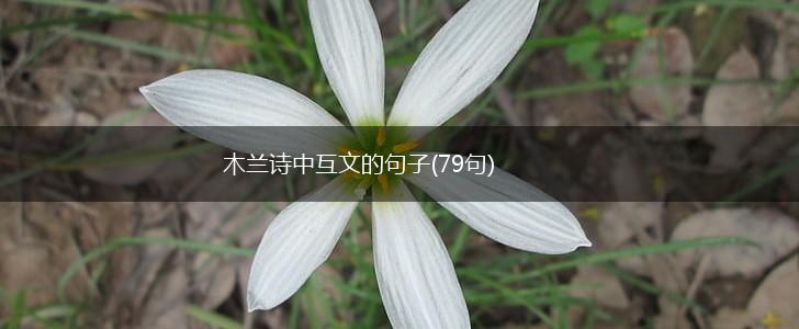 木兰诗中互文的句子(79句),第1张