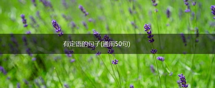 有定语的句子(通用50句),第1张