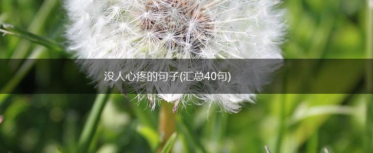 没人心疼的句子(汇总40句),第1张