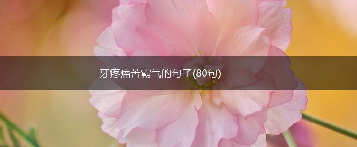 牙疼痛苦霸气的句子(80句),第1张
