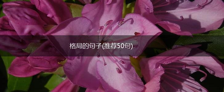 格局的句子(推荐50句),第1张