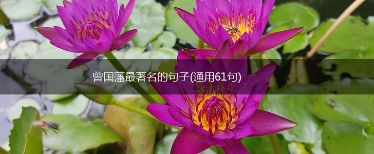 曾国藩最著名的句子(通用61句),第1张