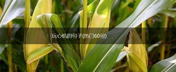 玩心机的句子(热门60句),第1张