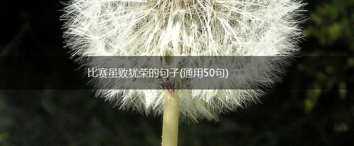 比赛虽败犹荣的句子(通用50句),第1张