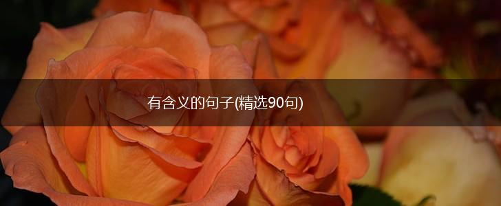 有含义的句子(精选90句),第1张