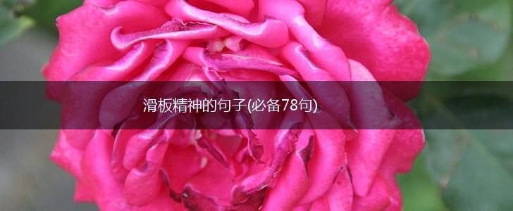 滑板精神的句子(必备78句),第1张