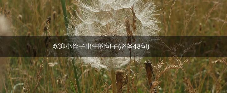 欢迎小侄子出生的句子(必备48句),第1张