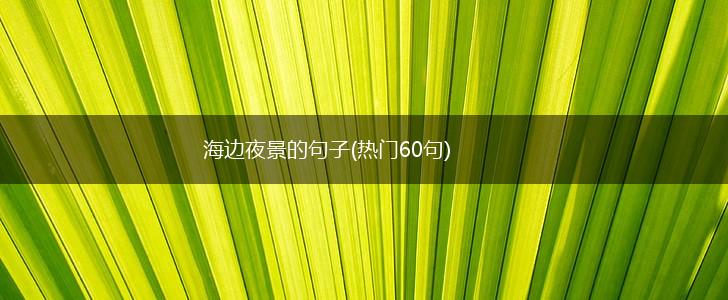 海边夜景的句子(热门60句),第1张
