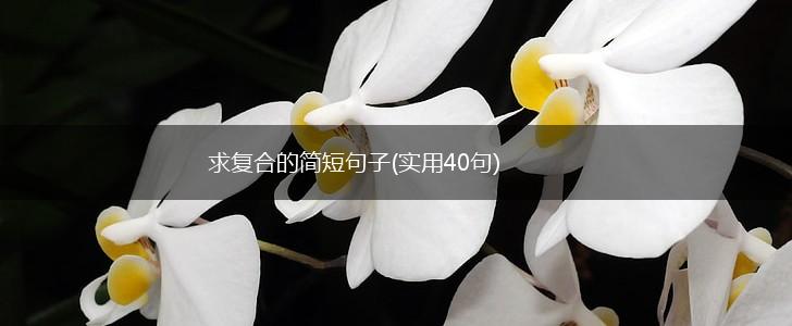 求复合的简短句子(实用40句),第1张