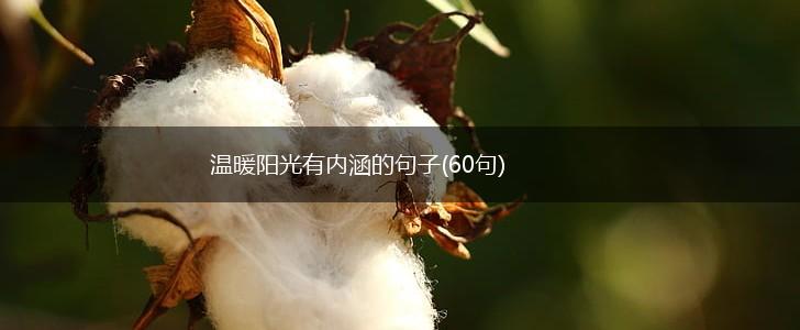 温暖阳光有内涵的句子(60句),第1张