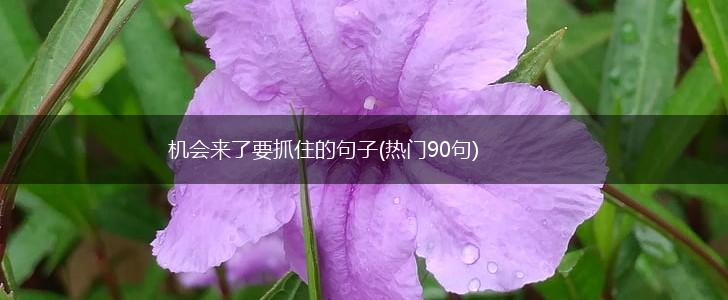 机会来了要抓住的句子(热门90句),第1张