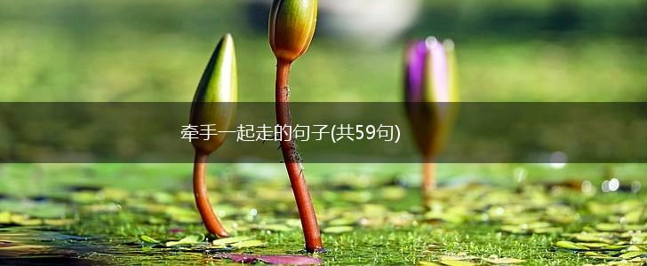 牵手一起走的句子(共59句),第1张