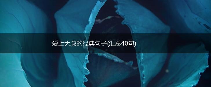 爱上大叔的经典句子(汇总40句),第1张