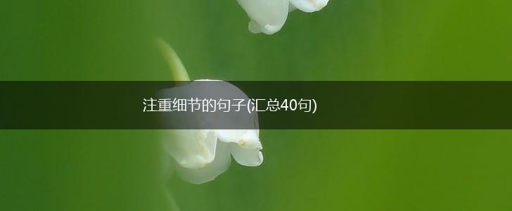 注重细节的句子(汇总40句),第1张
