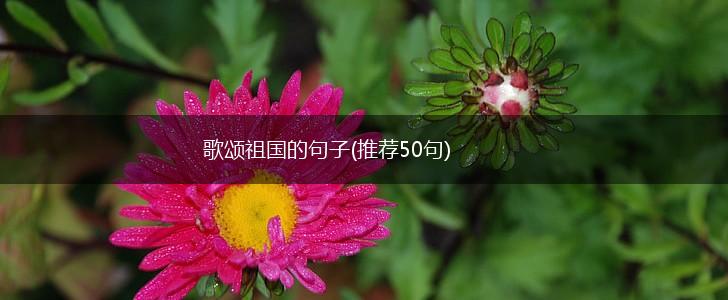 歌颂祖国的句子(推荐50句),第1张