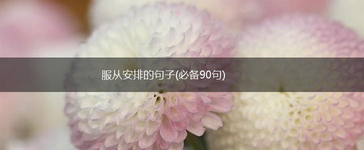 服从安排的句子(必备90句),第1张