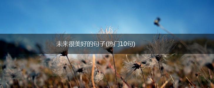 未来很美好的句子(热门10句),第1张