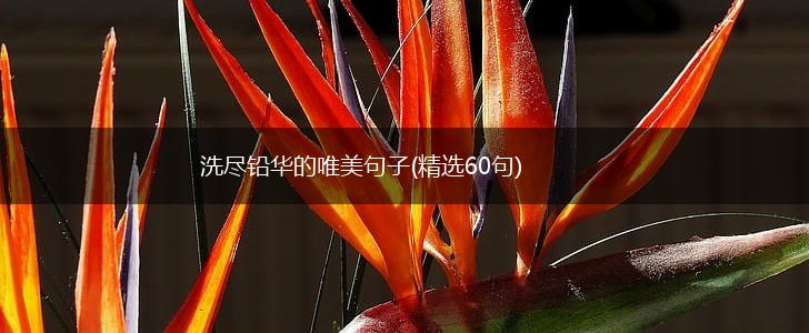 洗尽铅华的唯美句子(精选60句),第1张
