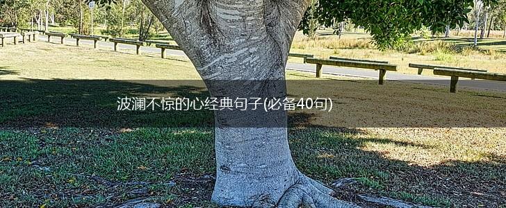 波澜不惊的心经典句子(必备40句),第1张