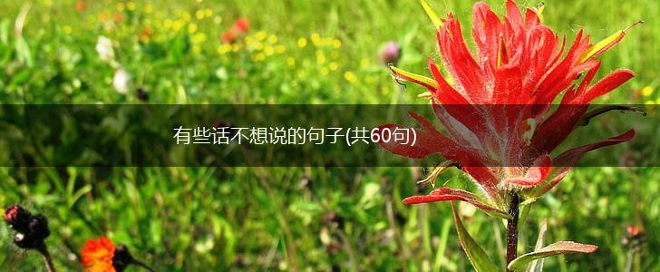 有些话不想说的句子(共60句),第1张