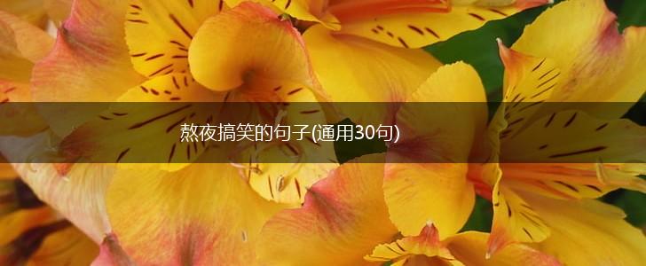 熬夜搞笑的句子(通用30句),第1张