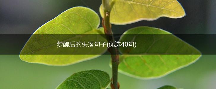 梦醒后的失落句子(优选40句),第1张