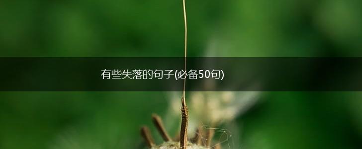 有些失落的句子(必备50句),第1张