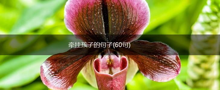 牵挂孩子的句子(60句),第1张
