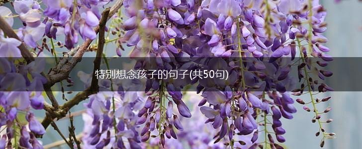 特别想念孩子的句子(共50句),第1张 特别想念孩子的句子(共50句),第1张