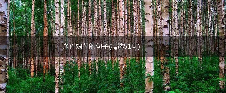 条件艰苦的句子(精选51句),第1张