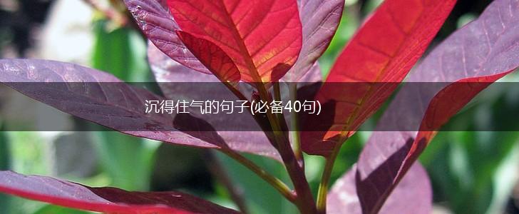 沉得住气的句子(必备40句),第1张