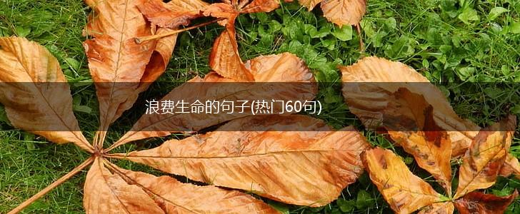 浪费生命的句子(热门60句),第1张