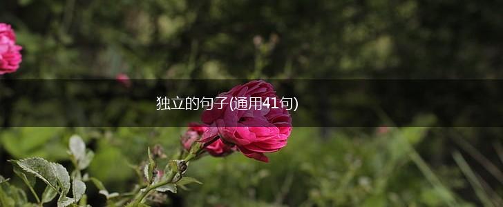 独立的句子(通用41句),第1张