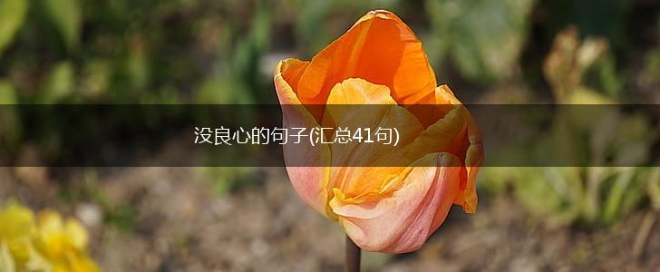 没良心的句子(汇总41句),第1张