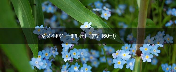 爱又不能在一起的句子(热门60句),第1张