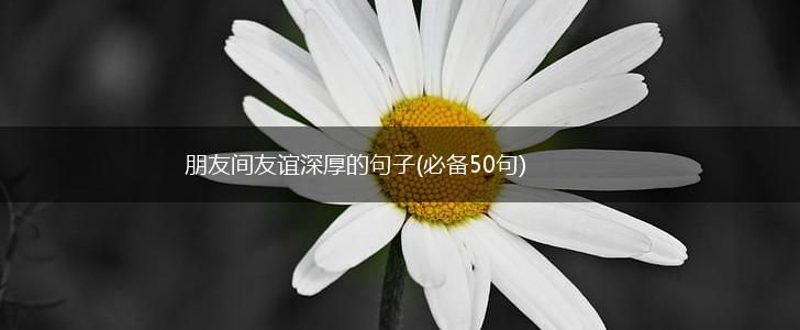 朋友间友谊深厚的句子(必备50句),第1张