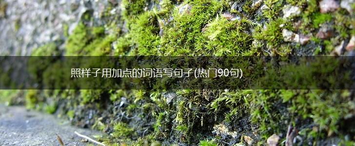 照样子用加点的词语写句子(热门90句),第1张