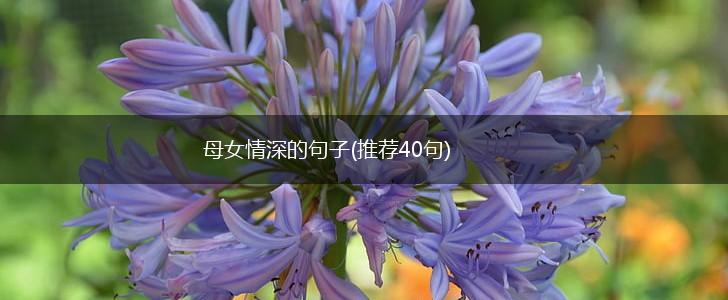 母女情深的句子(推荐40句),第1张