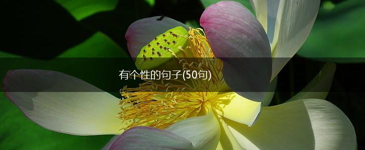 有个性的句子(50句),第1张