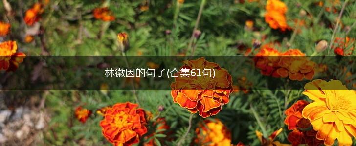 林徽因的句子(合集61句),第1张