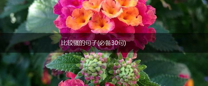 比较骚的句子(必备30句),第1张