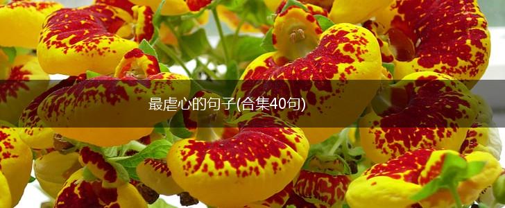 最虐心的句子(合集40句),第1张