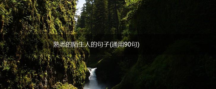 熟悉的陌生人的句子(通用90句),第1张