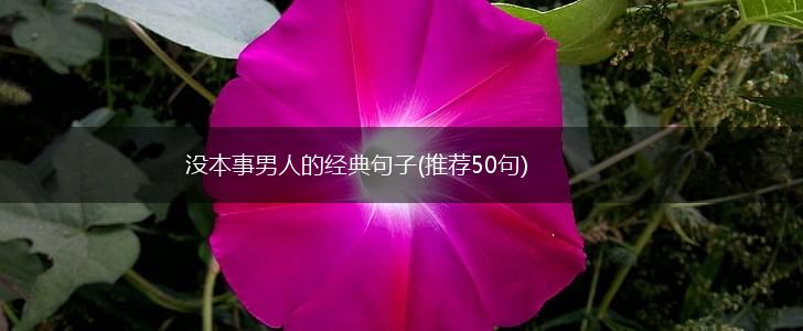 没本事男人的经典句子(推荐50句),第1张