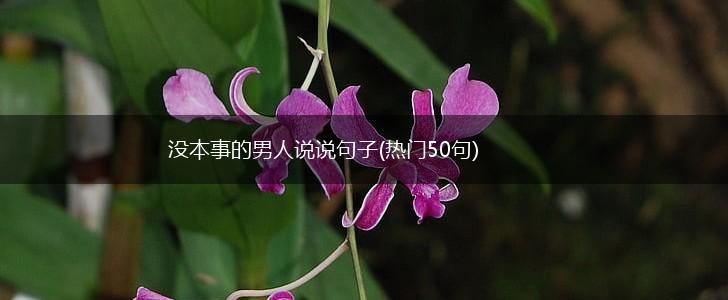 没本事的男人说说句子(热门50句),第1张