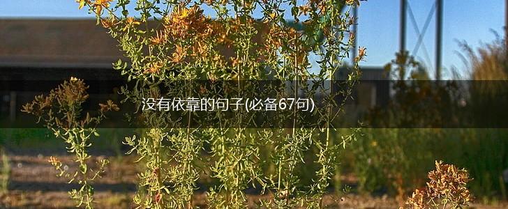 没有依靠的句子(必备67句),第1张