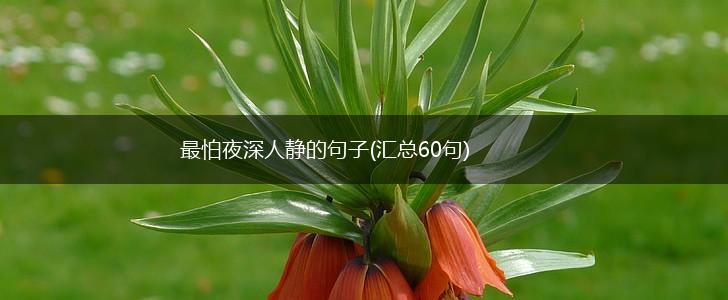 最怕夜深人静的句子(汇总60句),第1张