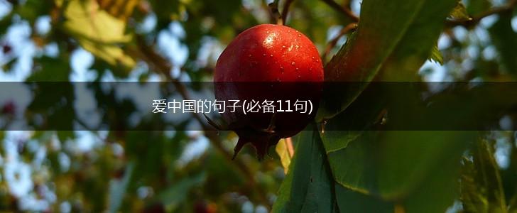 爱中国的句子(必备11句),第1张
