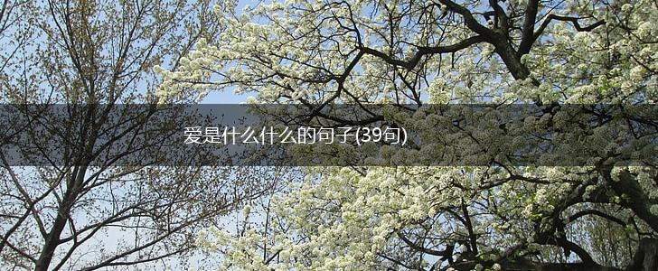爱是什么什么的句子(39句),第1张