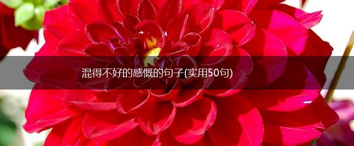 混得不好的感慨的句子(实用50句),第1张